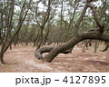 佐賀県、虹の松原
