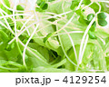 野菜サラダ