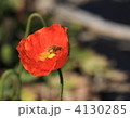 4130285