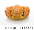 毛蟹　白バック