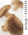 椎茸