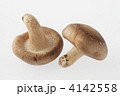 椎茸
