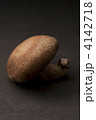 椎茸