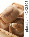 椎茸