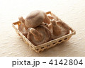 椎茸