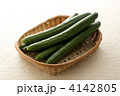 きゅうり