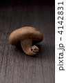椎茸