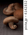 椎茸