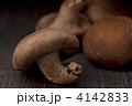 椎茸
