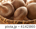 椎茸
