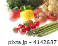 野菜の集合
