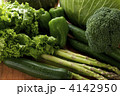 グリーン野菜の集合