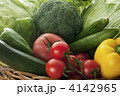 野菜の集合