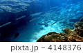 宮古島珊瑚の森を泳ぐ魚の群れ