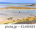 南国　引き潮の海