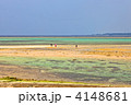 南国　エメラルドグリーンの海と散歩する家族のいる風景