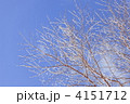 霧氷