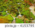 苔と清流