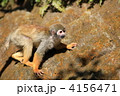 4156471