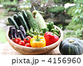 夏野菜・収穫01