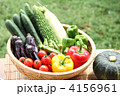 夏野菜・収穫02