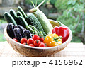 夏野菜・収穫03