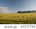4157748