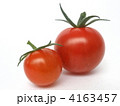 採れたてミニトマト