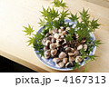 はまぐり