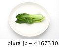 青梗菜