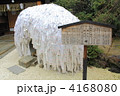 安井金比羅宮