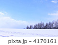 冬景色