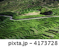 丸山千枚田