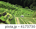 丸山千枚田