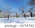 雪原と五稜郭公園