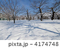 冬の桜と五稜郭公園