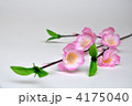 桃の花
