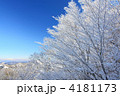 雪の華
