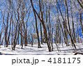 雪の華