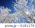 雪の華