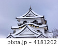 彦根城雪景色