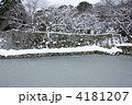 凍った彦根城内堀