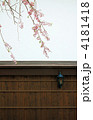 白壁土蔵としだれ桜