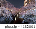 目黒川の桜