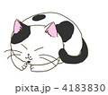ブチ猫