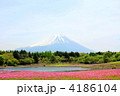 春いっぱいの富士山