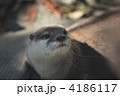 4186117