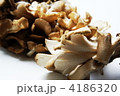 舞茸