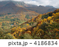 4186834