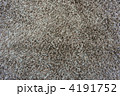 4191752